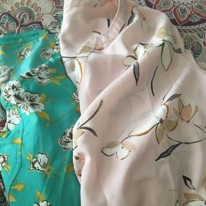 Woman Within 3X and Ava and Viv 3X